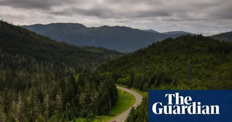 A truck carrying recently cut old-growth trees in the Tongass national forest, Alaska